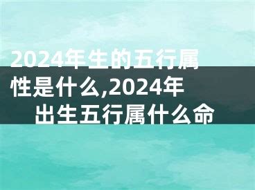 2024 属性|2024年什么命五行属性